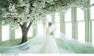 高端婚紗攝影基地 mv視頻拍攝 商業拍攝 大型視頻拍攝 上海夢想影視基地 淘寶模特