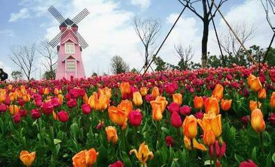 為美好而來I嘉善全面接軌上海 共創美好家園