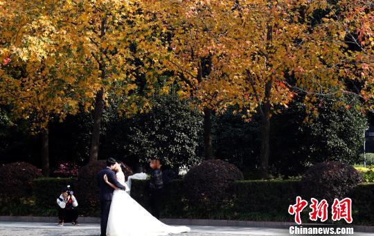 婚紗攝影 成為上海外灘一道亮麗風(fēng)景