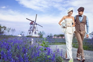 荷蘭風(fēng)車系列